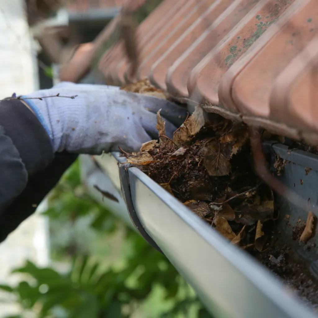 Gutter Cleaning and Maintenance